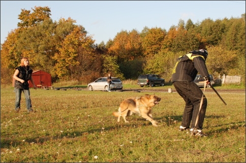 Training in Estonia 9/2007